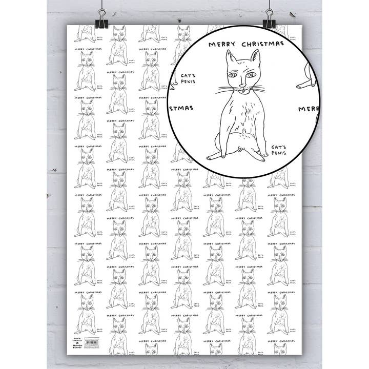 David Shrigley x Brainbox Candy - Wholesale Flat Wrap - David Shrigley Gift Wrap Cat's Penis Pack of 2 Sheets Folded