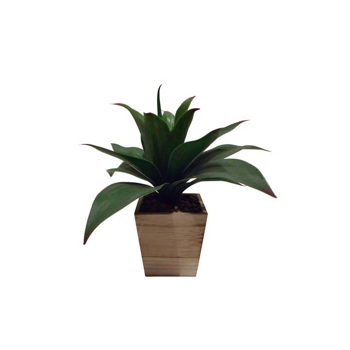 Aloe artificiale da 14" in vaso di legno per la vendita all'ingrosso da parte di Tremont Floral Supplies