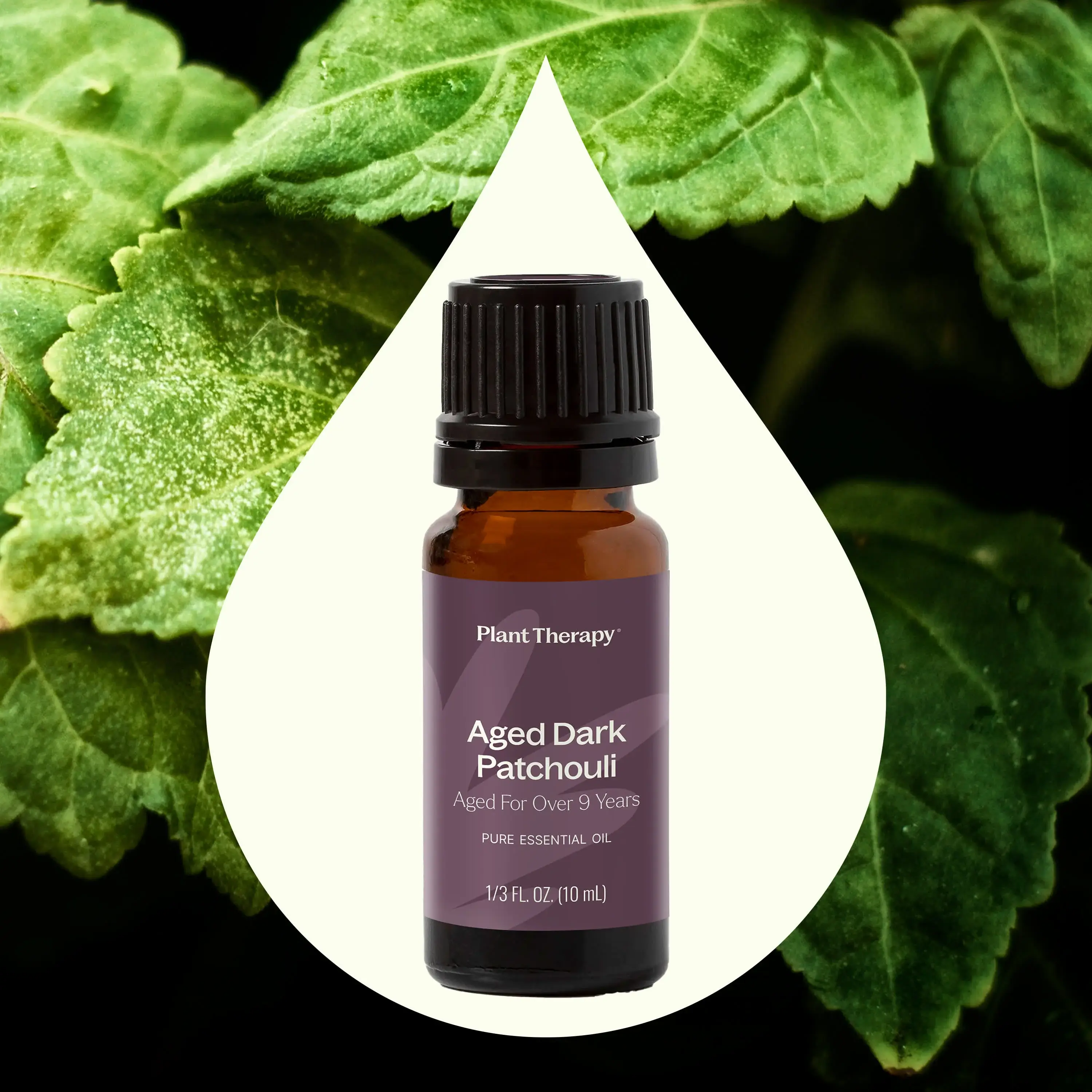 Plant Therapy - Wholesale Essential Oil - Aged Dark Patchouli Essential Oil 10 mL4