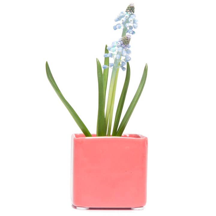 Chive - Wholesale Plant Pot - Svek Succulent Planter For Succulents And Floral Frogs3