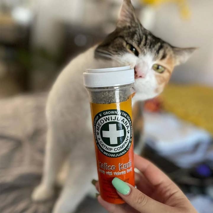 SmarterPaw | Meowijuana & Doggijuana - Wholesale Catnip - Kalico Kush6