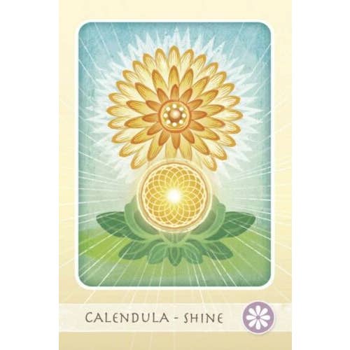 Cardshouse - Wholesale Tarot Cards - Tarot Cards Herbal Healing Deck