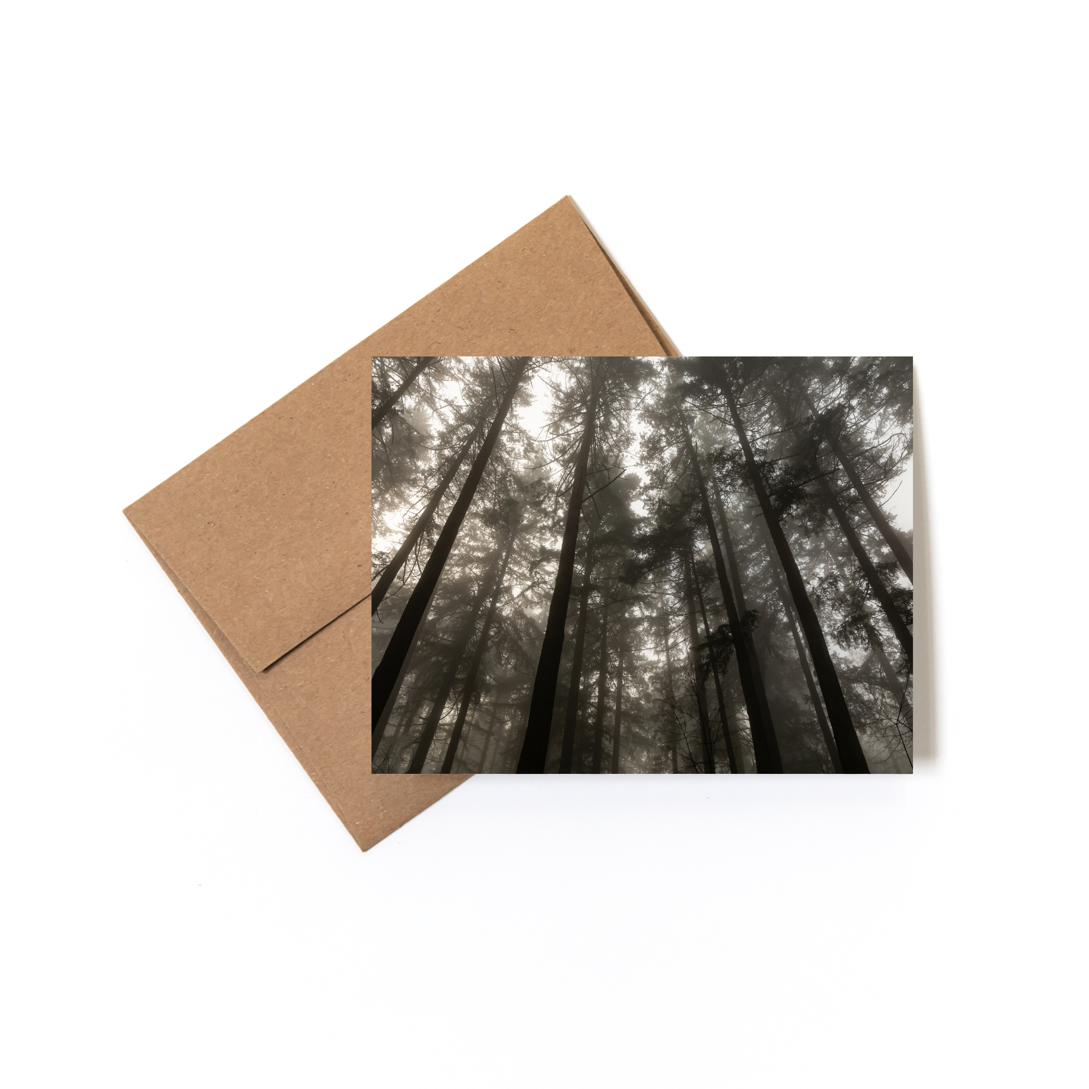 Andrea Morris Art - Wholesale Stationery/Notecard Set - Oregon Card Variety Pack (5 Different Cards + Envelopes)3