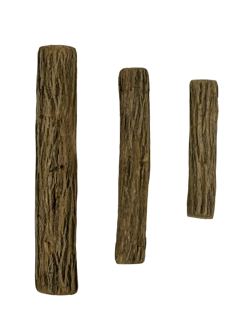 Cernunos – wholesale Tuggleksak för hund - Hund – Sekelbos-trä för hundar0