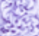 Anders Ruff Market - Wholesale Patch - Chenille Alphabet Letter Patches3