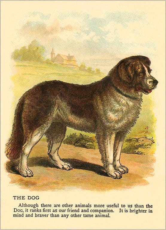 Found Image Press - Wholesale Sticker - Sticker AN-119 St. Bernard0