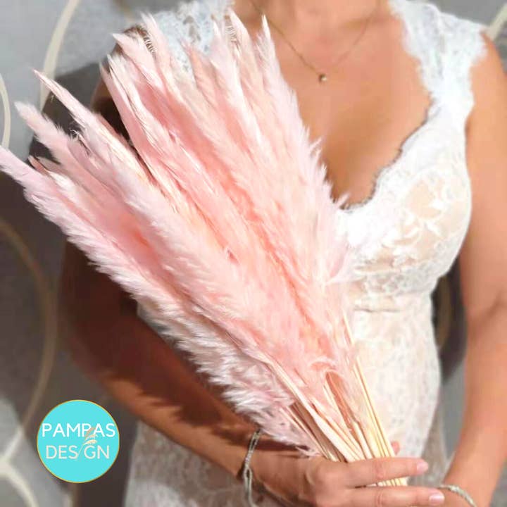 Pampas Design – wholesale Torkade/pressade blommor – Pampas Grass Orange 30 Stammar