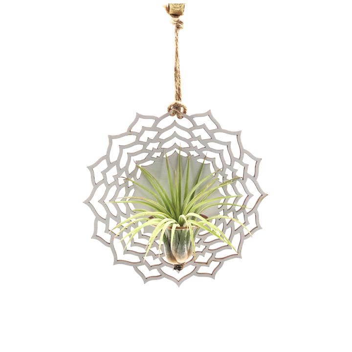 Flower Air Plant Holder for wholesale by So Very Lovely