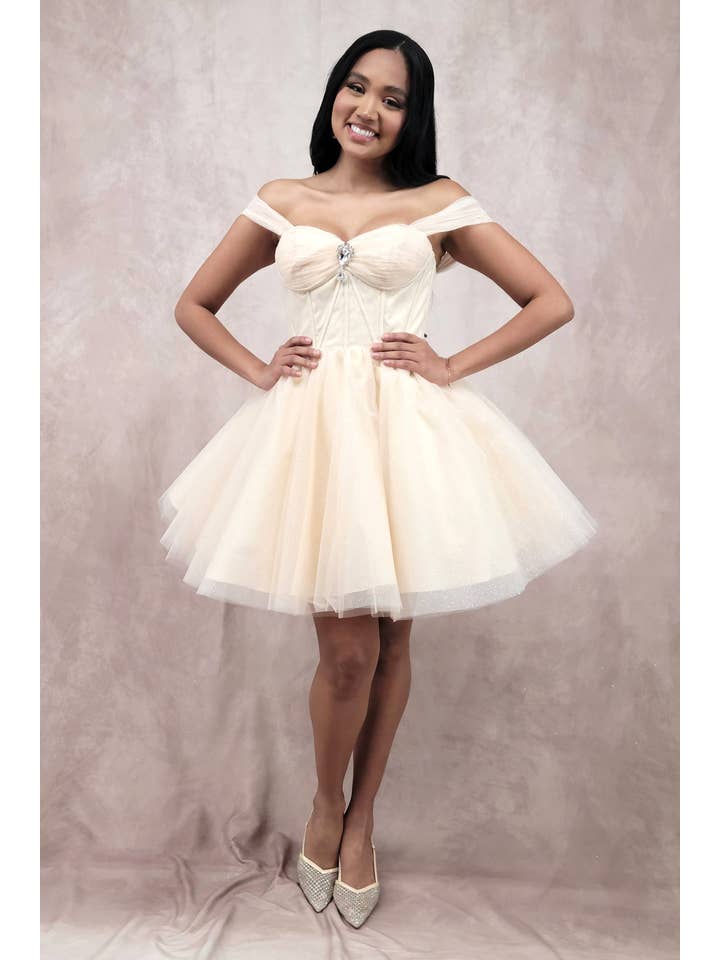 Chicas - Wholesale Dress - Women's - Short Off The Shoulder Tulle Dress With Brooch22