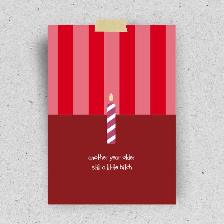 hellopinlin - Wholesale Birthday Card - Postcard "Another year older still a little bitch" | Recycled paper0