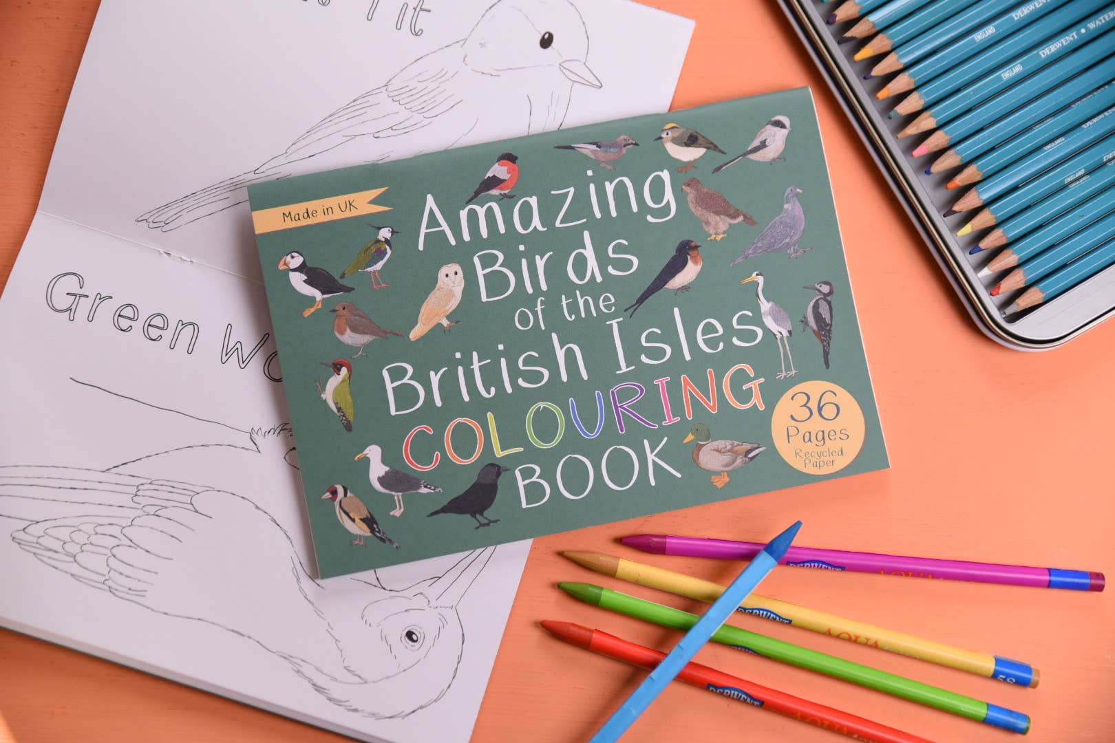 Button & Squirt – wholesale Colouring book – Child & baby – Amazing Birds of the British Isles Colouring Book2