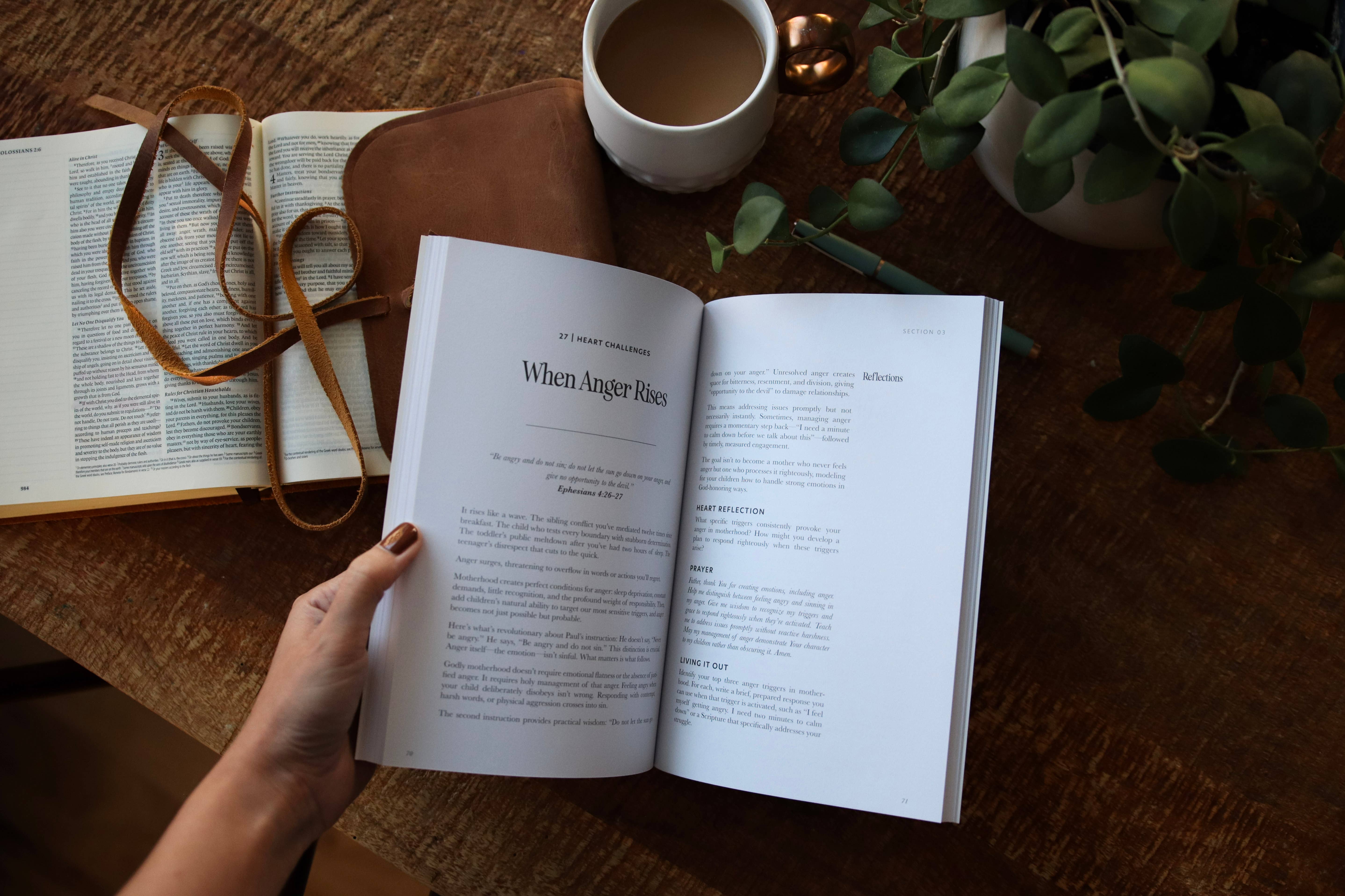 Paper Peony Press - Wholesale Religion - Present Grace: A 52-Week Devotional for Moms 2