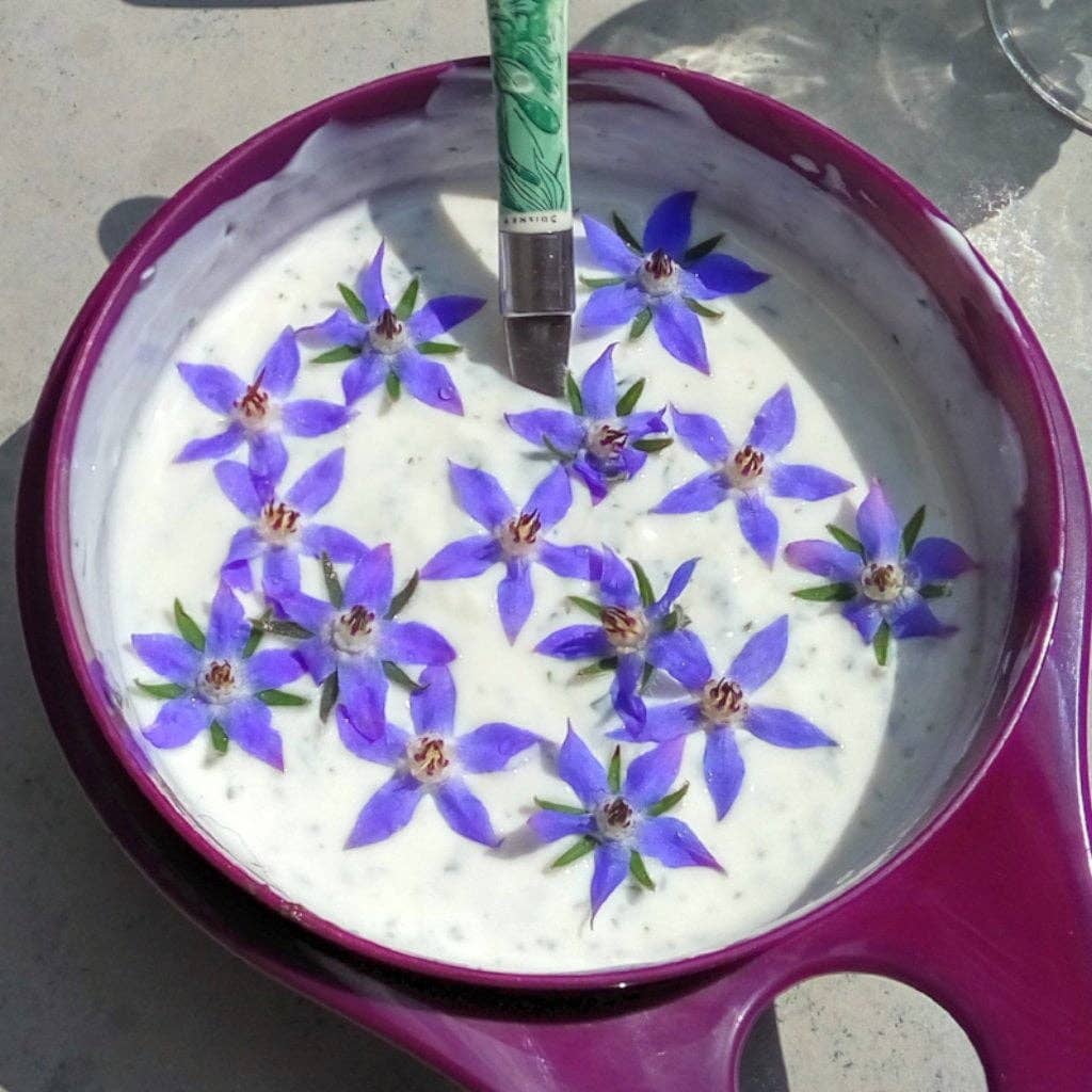 Sow True Seed - Wholesale Plant Seeds - Flower Seed Mix - Edible Flowers3