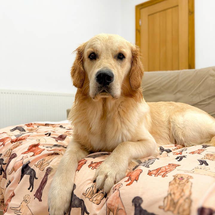 The Paw Print Boutique - Wholesale Pet blanket – Dog - The Labrador / Retriever Dog Blanket8