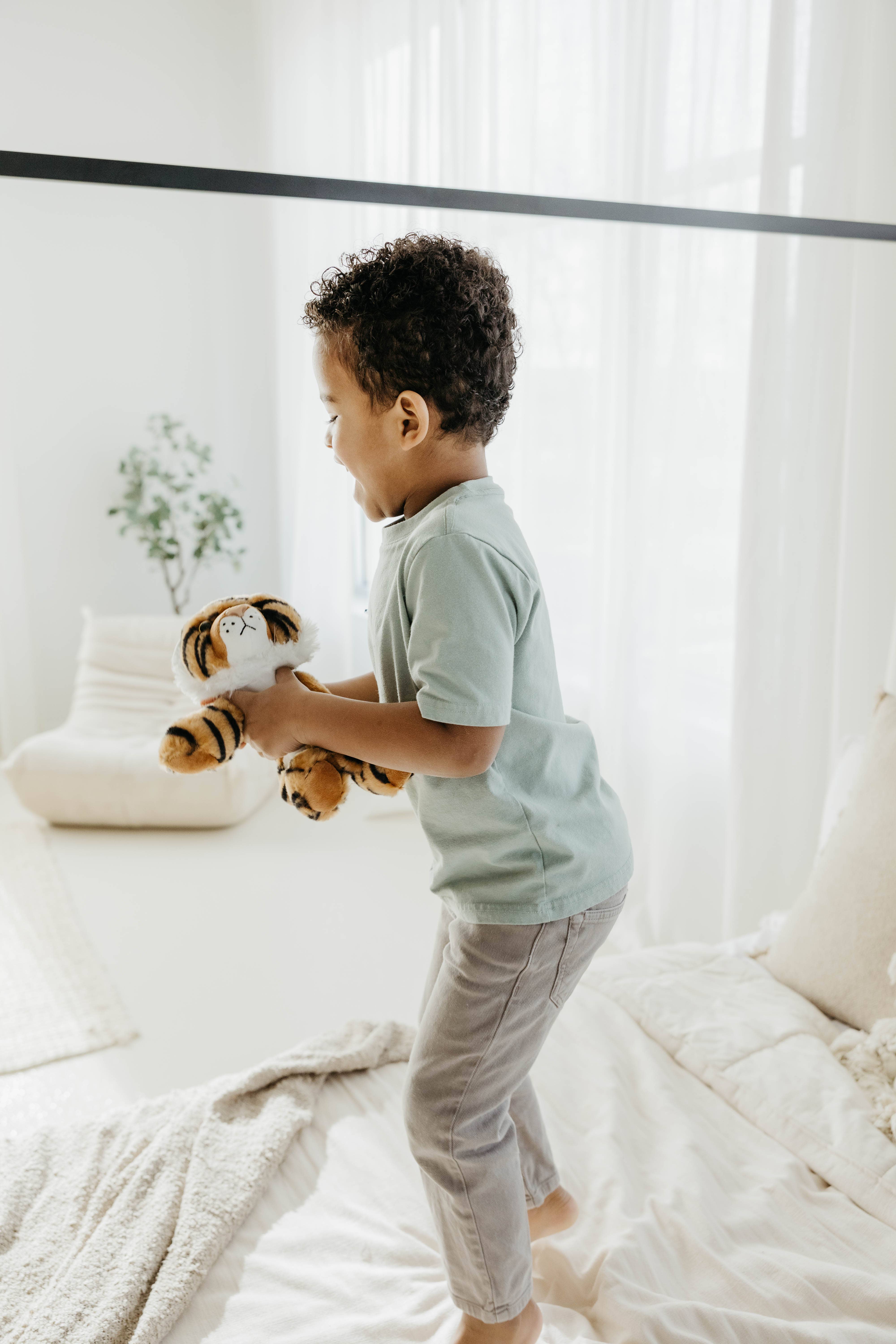 The Petting Zoo - Wholesale Stuffed/Plush Toy - Kids & Baby - 8" (20cm) Wild Onez Tiger Wild Life1