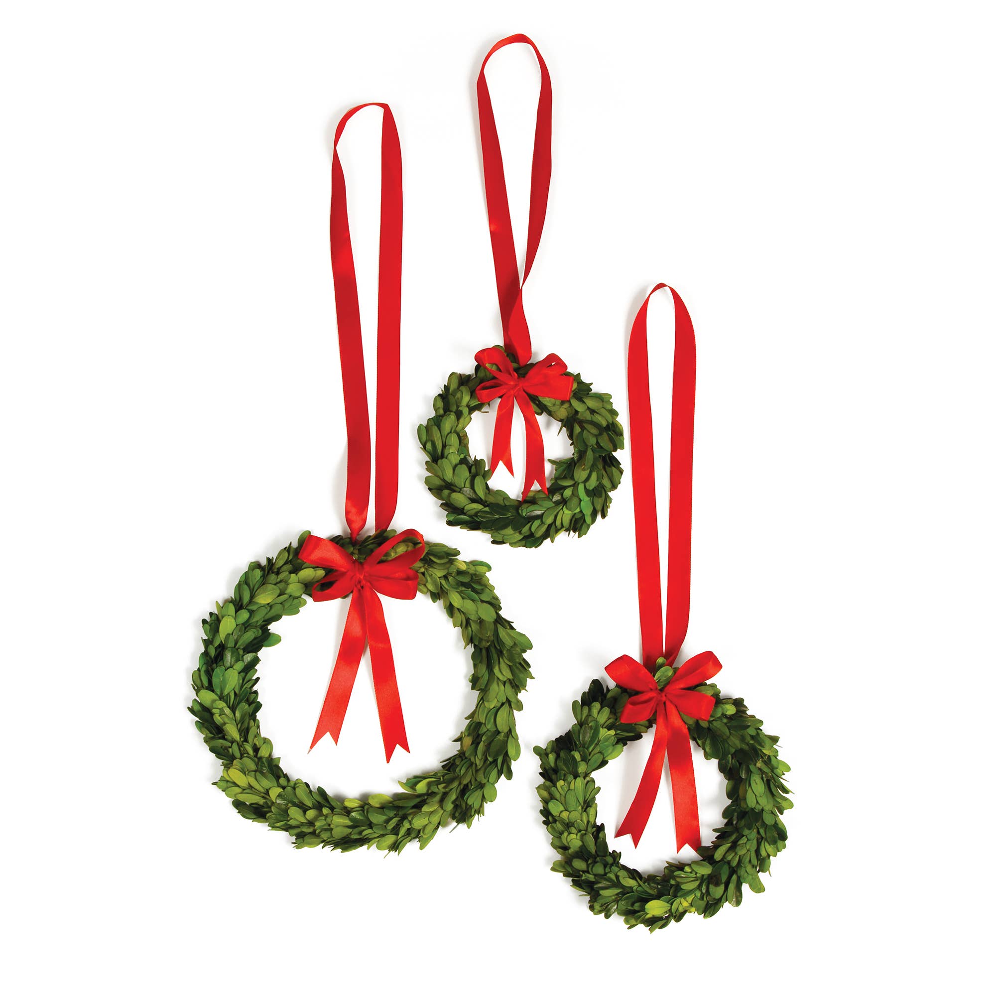 Napa Home & Garden - Wholesale Wreath - Boxwood Wreaths With Red Ribbons, Set of 31