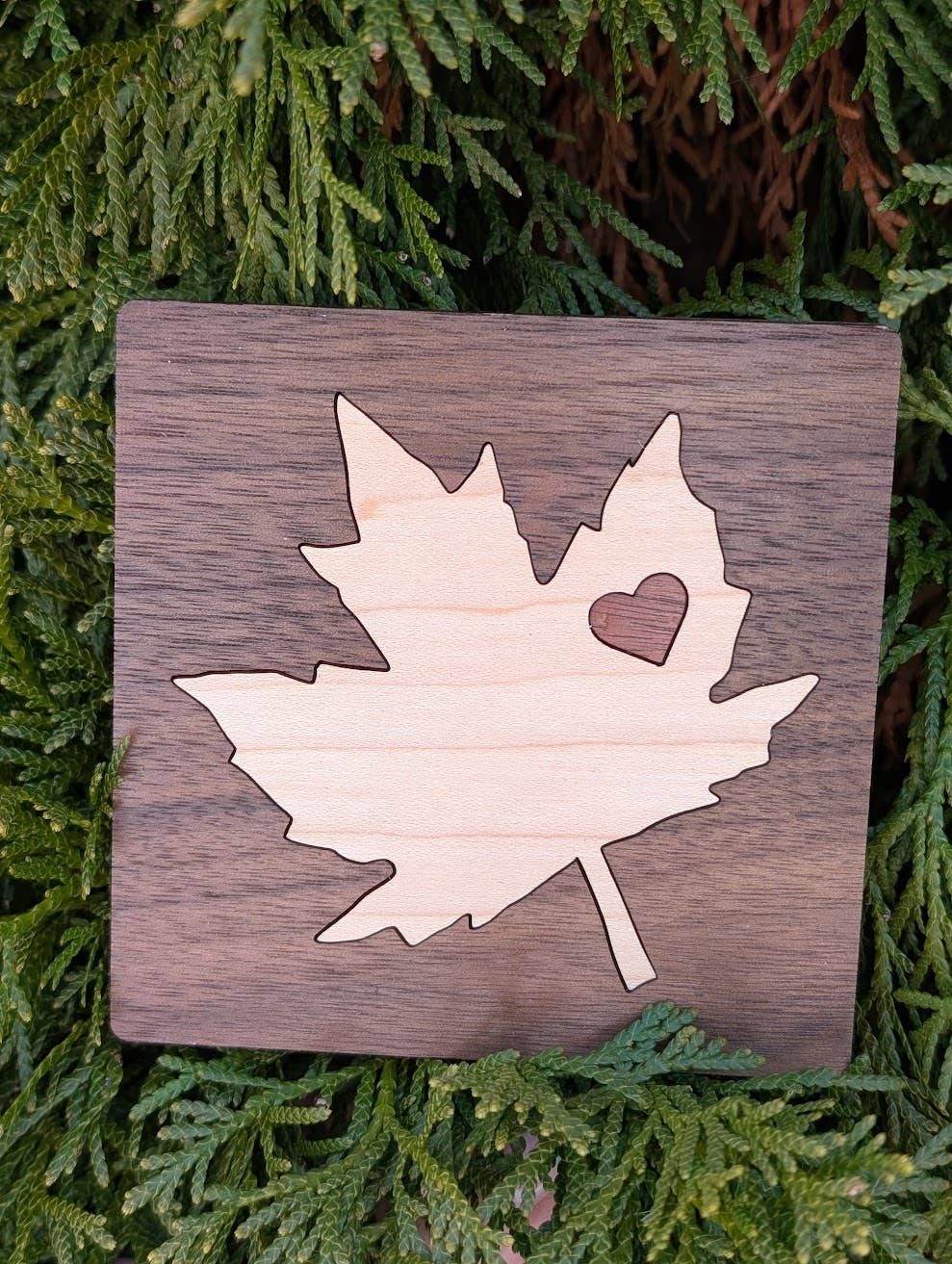 Foxwood Gifts Canada – wholesale Coasters – Maple Leaf Wood Inlay Coaster - Made in Canada0