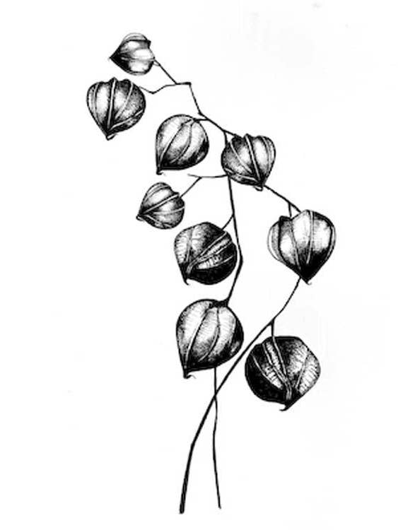 Lavinia Stamps - Chinese Lantern for wholesale by Ecstasy Crafts Distributing