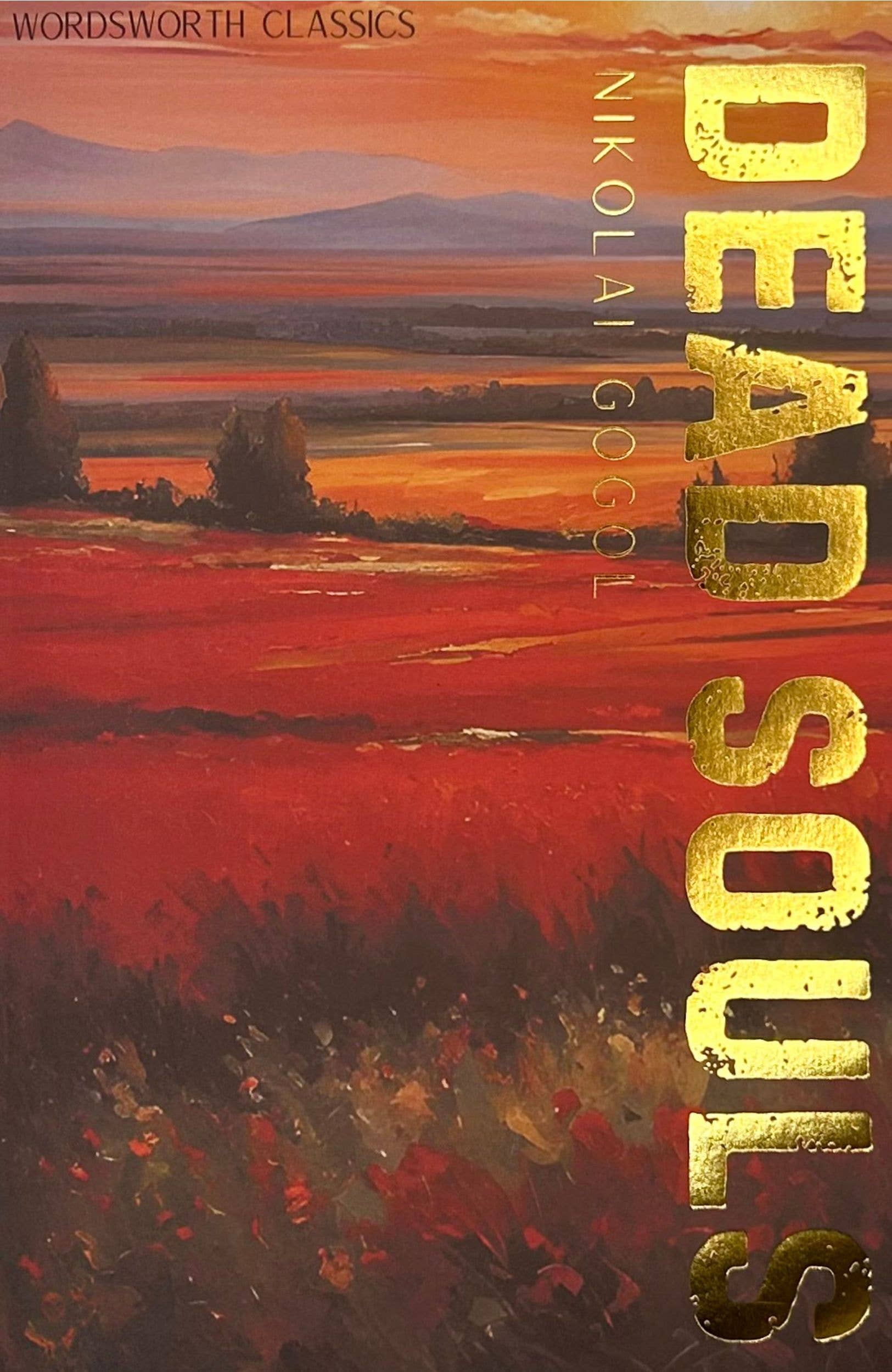Marble City Press - Vente Classiques - Dead Souls | Gogol | Wordsworth Classic | Livre0