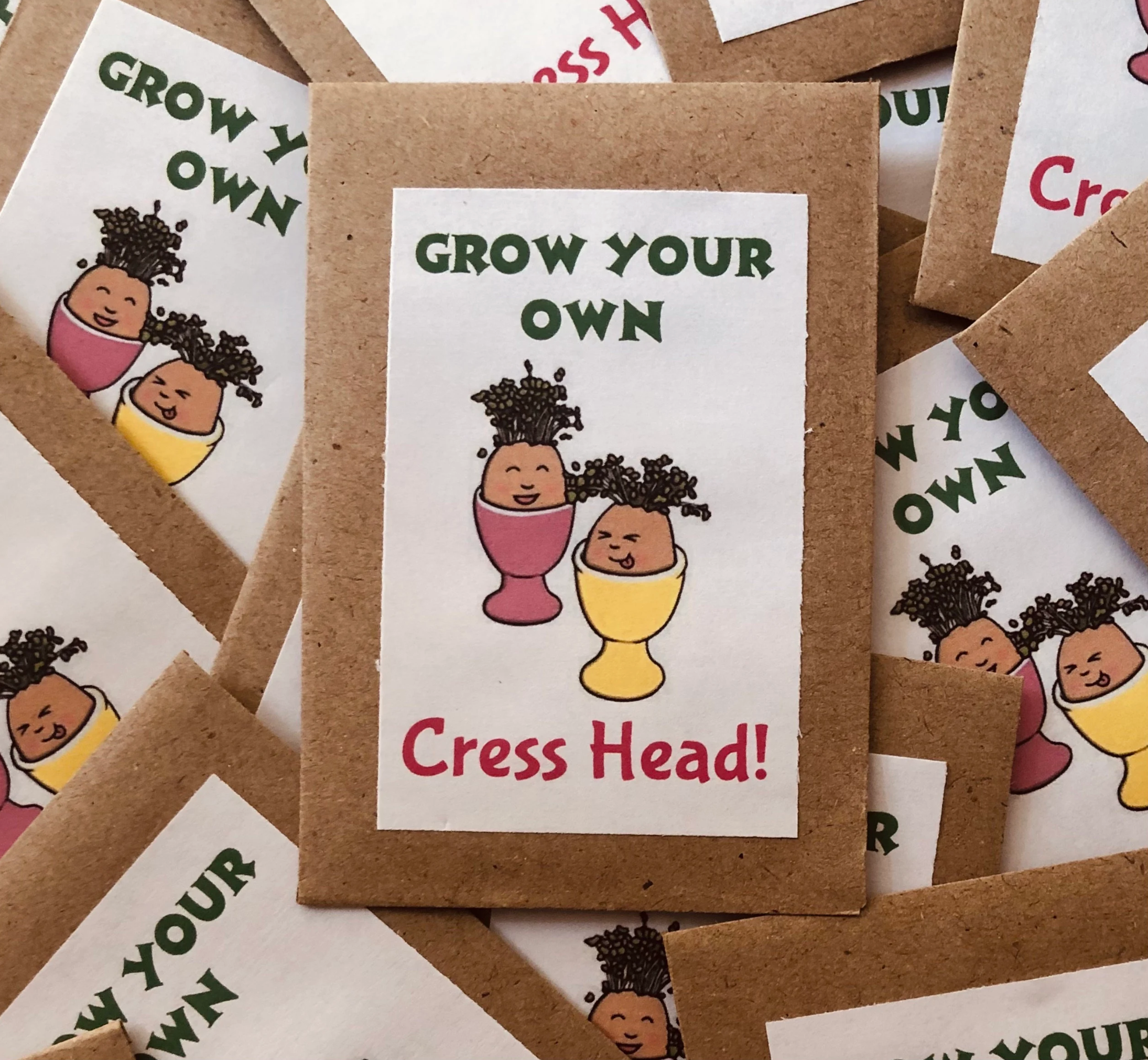 Underglass Terrariums – wholesale Gag gift/novelty gift – Cress Head Kit for Kids - Grow Your Own Cress Head! 0