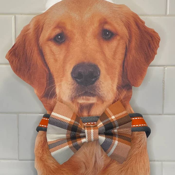 Swanky Pawz - Vendita all'ingrosso Papillon - Cani - Papillon a collare per cani, papillon slip on, papillon scozzese