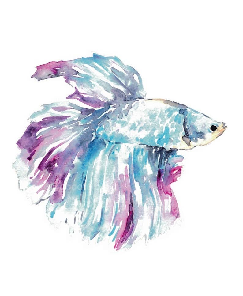 Goodfairyart - Wholesale Gallery Wall Set - Set of 3 Betta Fish Watercolor Painting Print4