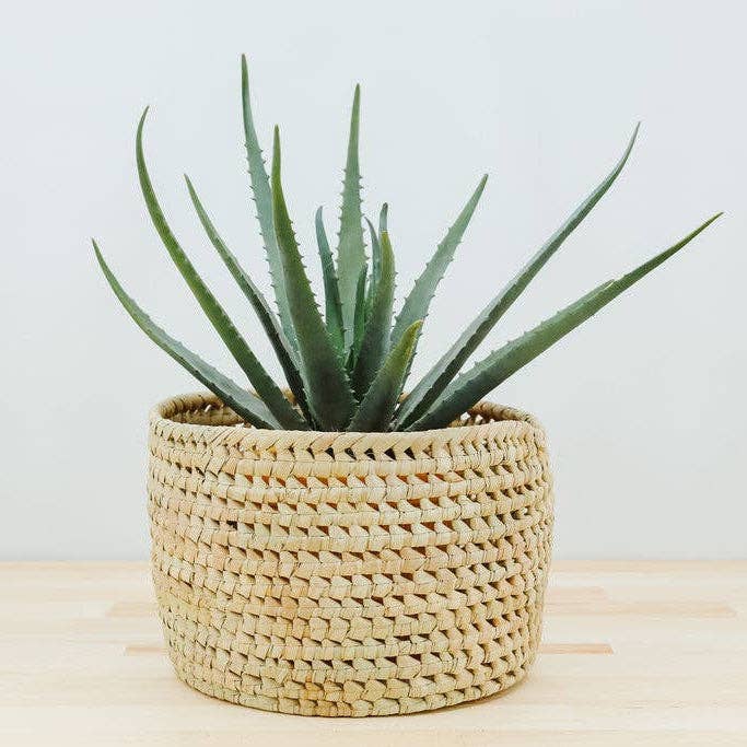 Gitzell FairTrade - Wholesale Plant Pot - Potted Planter, Palm Leaf4