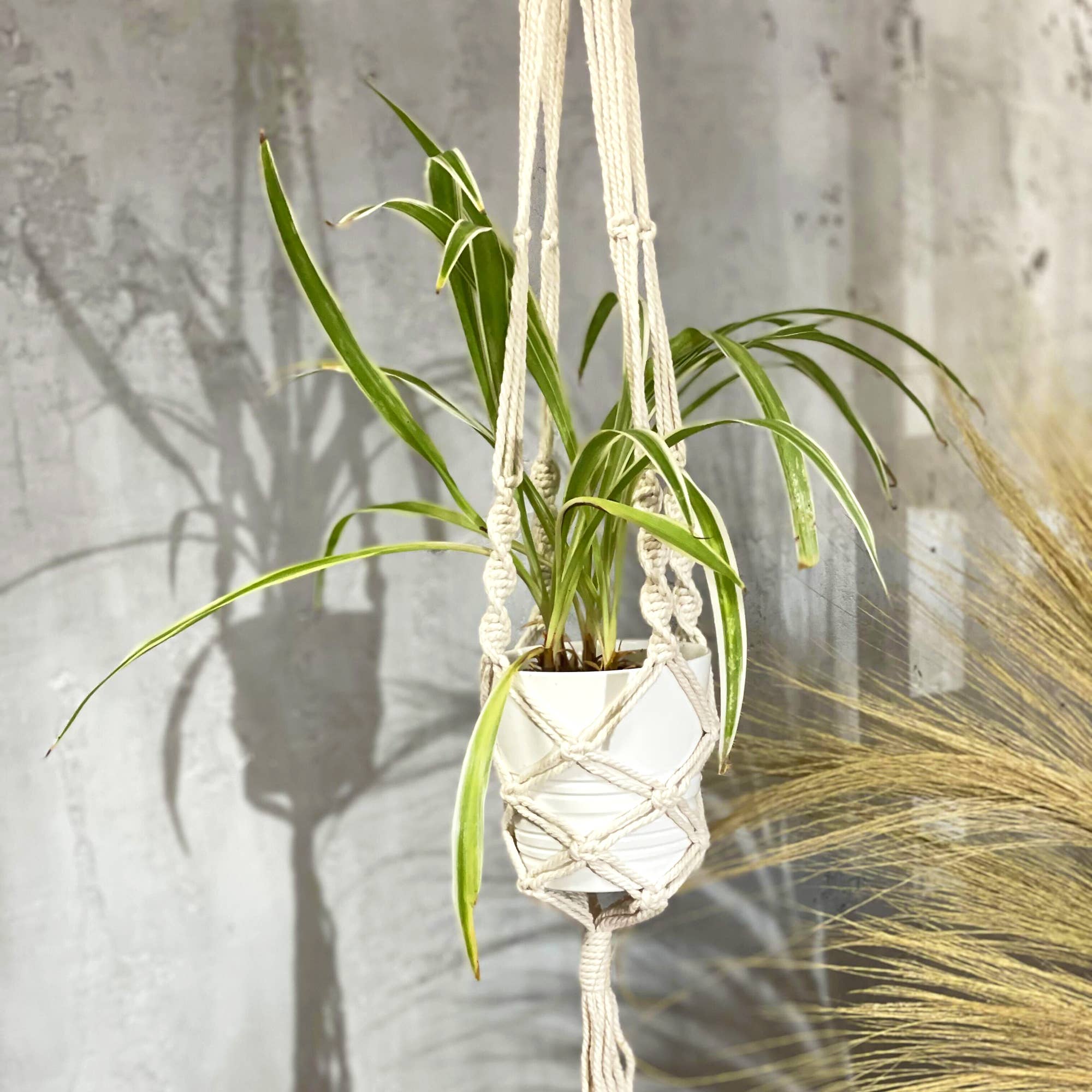 Ancient Wisdom – wholesale Hanging planter – Sold in 1x unit/s per outer1
