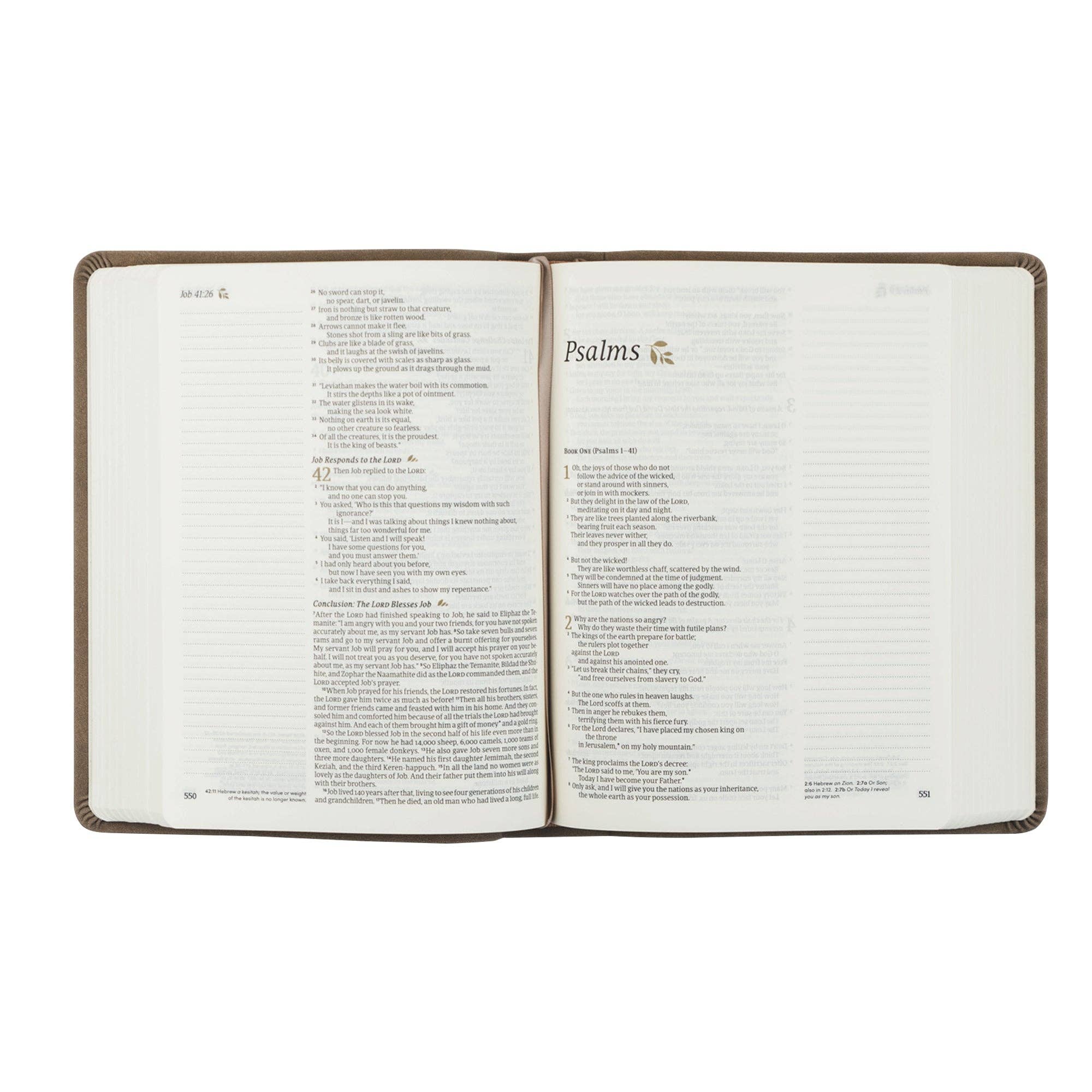 Hosanna Revival - Wholesale Religion Book - NLT Notetaking Bible: Marlo Theme4
