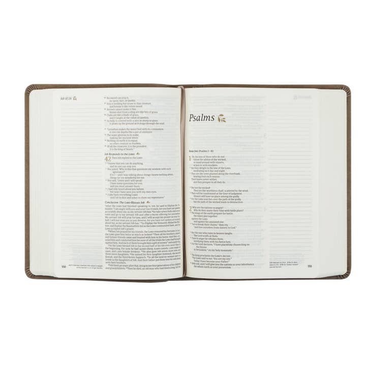 Hosanna Revival - Wholesale Religion Book - NLT Notetaking Bible: Marlo Theme4