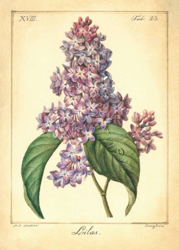 Bomo Art Budapest - Wholesale Everyday Greeting Card - Greeting Card + Envelope120