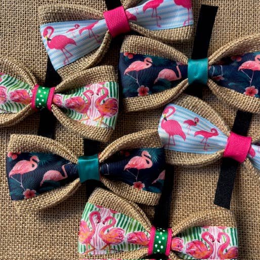 Pack Flamingo pour la vente par DOG BOW TIES