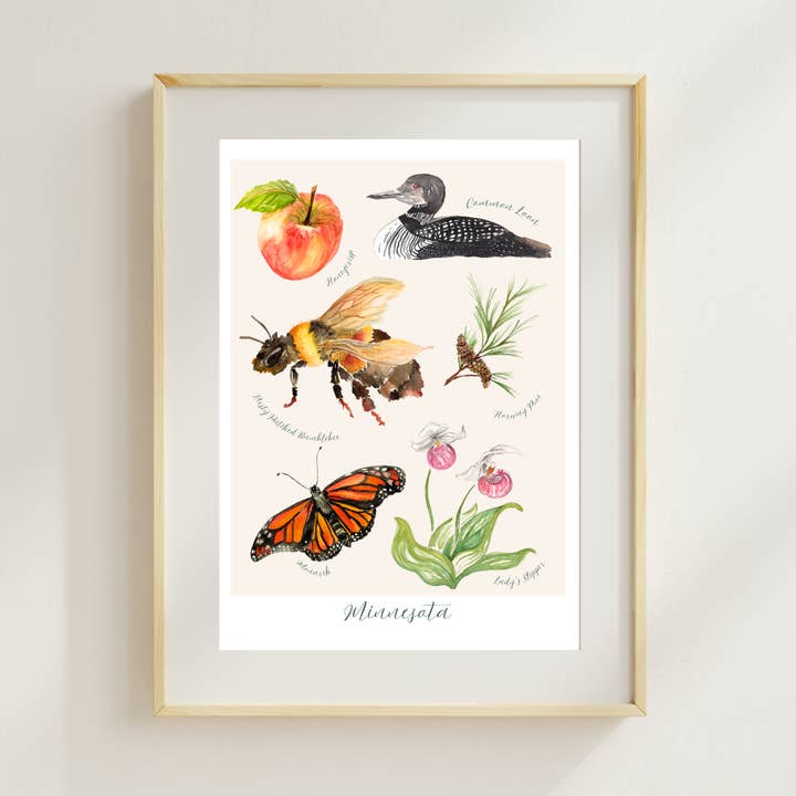 Minnesota State Symbols Watercolor print for wholesale by Wild Botanical Atelier
