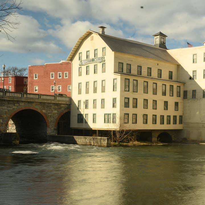 Unified Mills Flour & Grain - Vente Farines - Farine de blé Renan française, certifiée biologique7