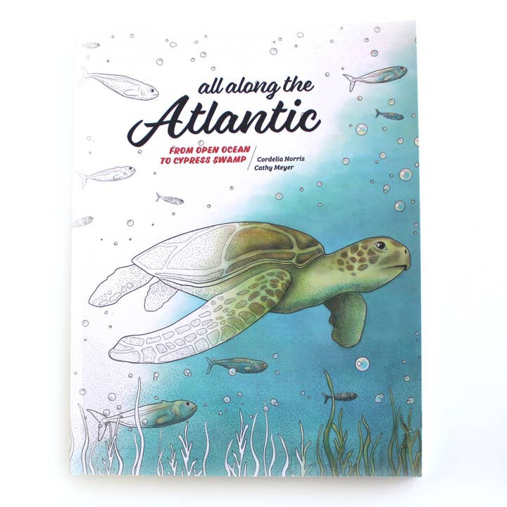 Along the Atlantic: Coloring Nature for wholesale by Amanda Surveski Wildlife Art