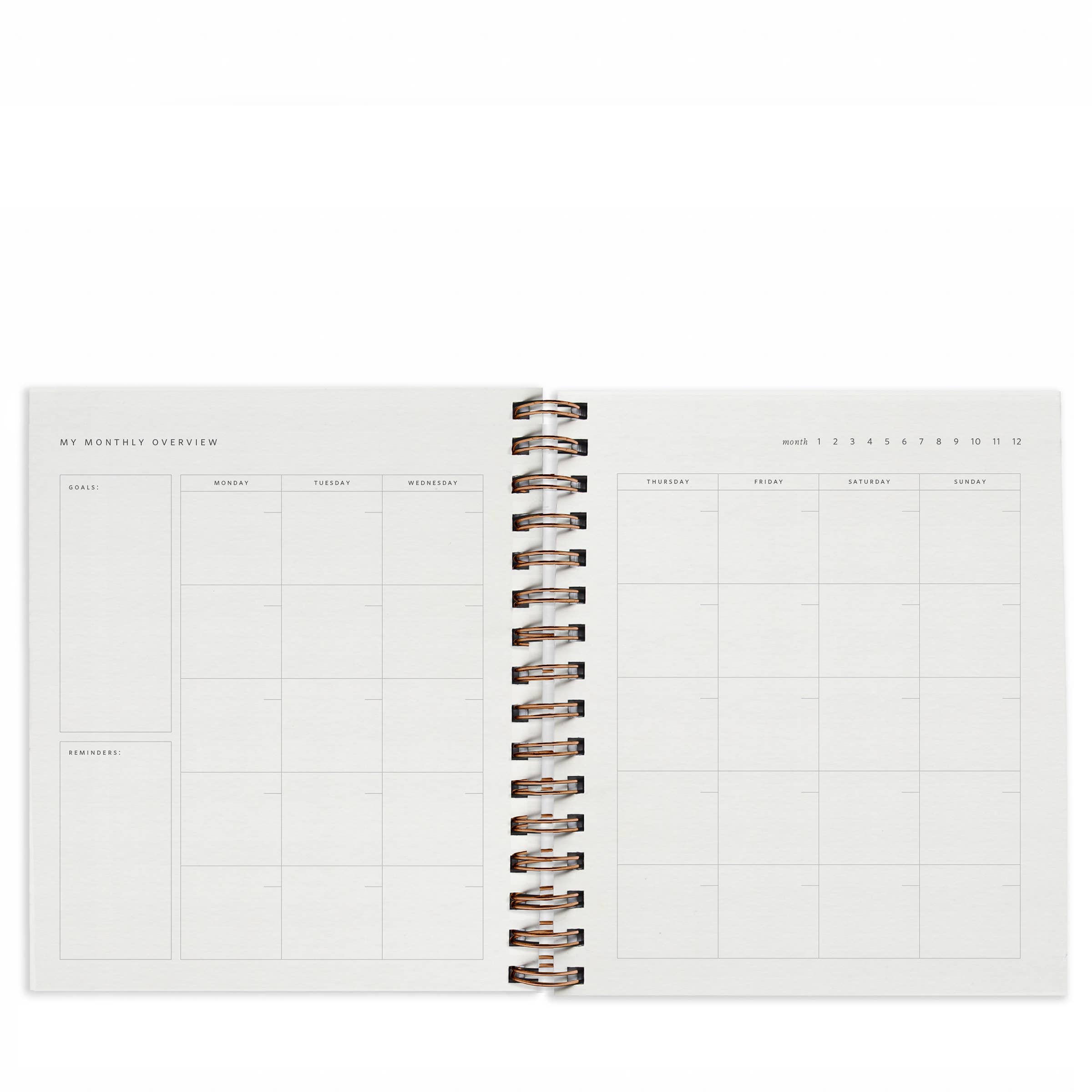 Ramona & Ruth - Wholesale Planner - Quarterly Overview Planner | Assorted Colors // Undated8