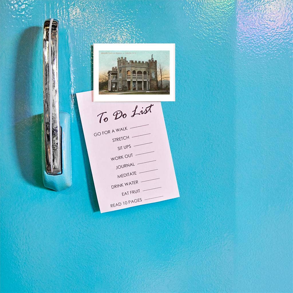 Found Image Press - Wholesale Magnet - Magnet NC-241 Zealandia Castle, Asheville1