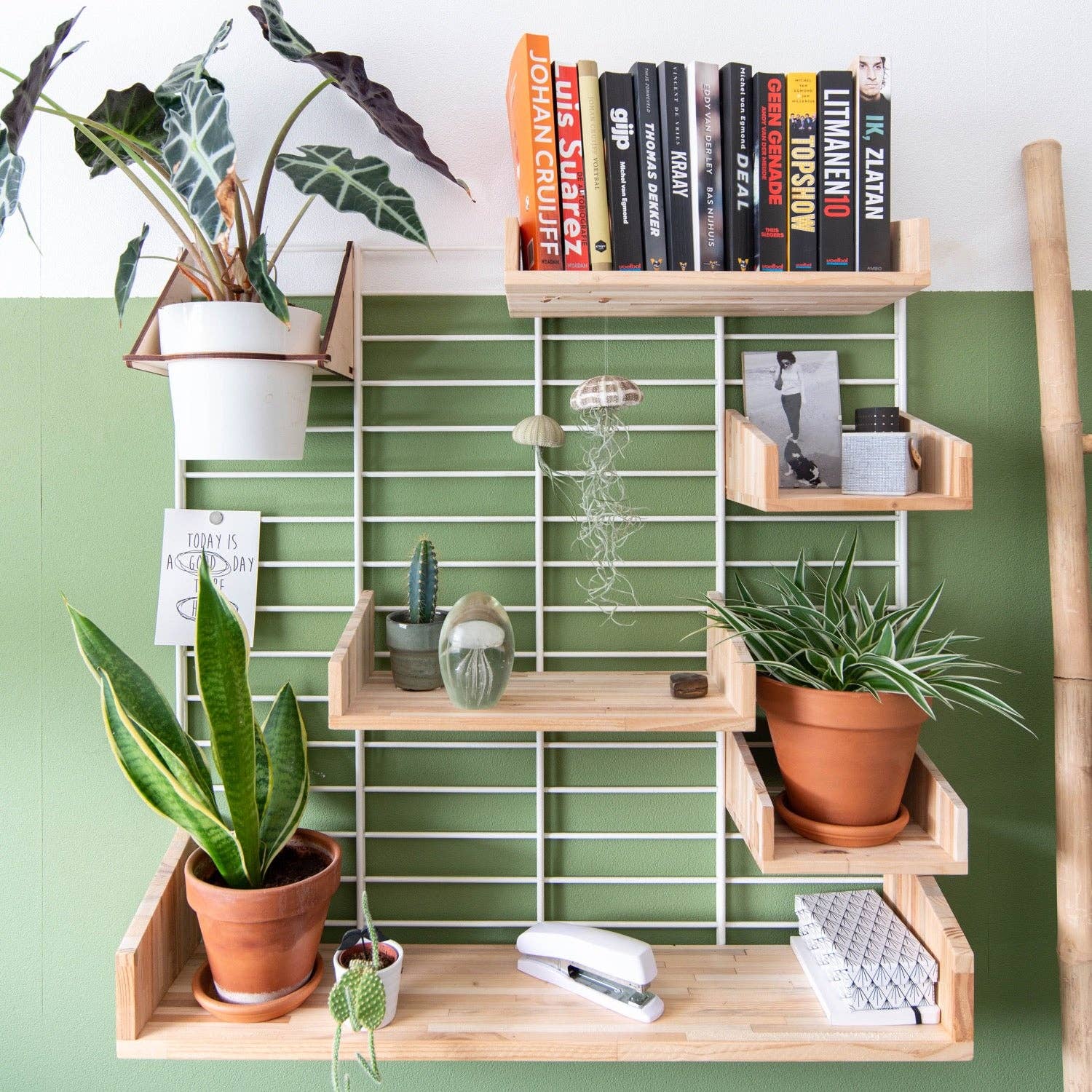 Tolhuijs Design - Wholesale Wall Mounted Shelf - FENCY “M” circular wall rack (80x75 cm)12