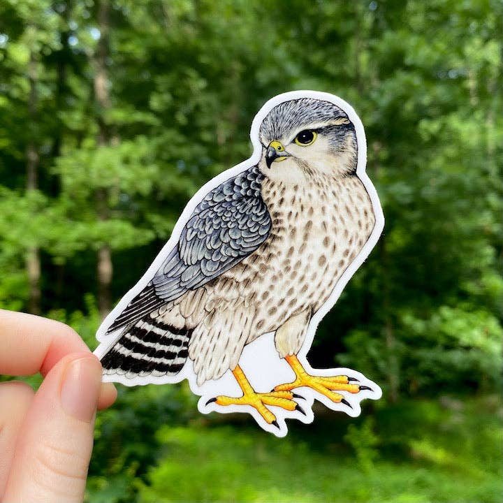 Merlin Weatherproof Vinyl Sticker for wholesale by Allison Stoiser Art