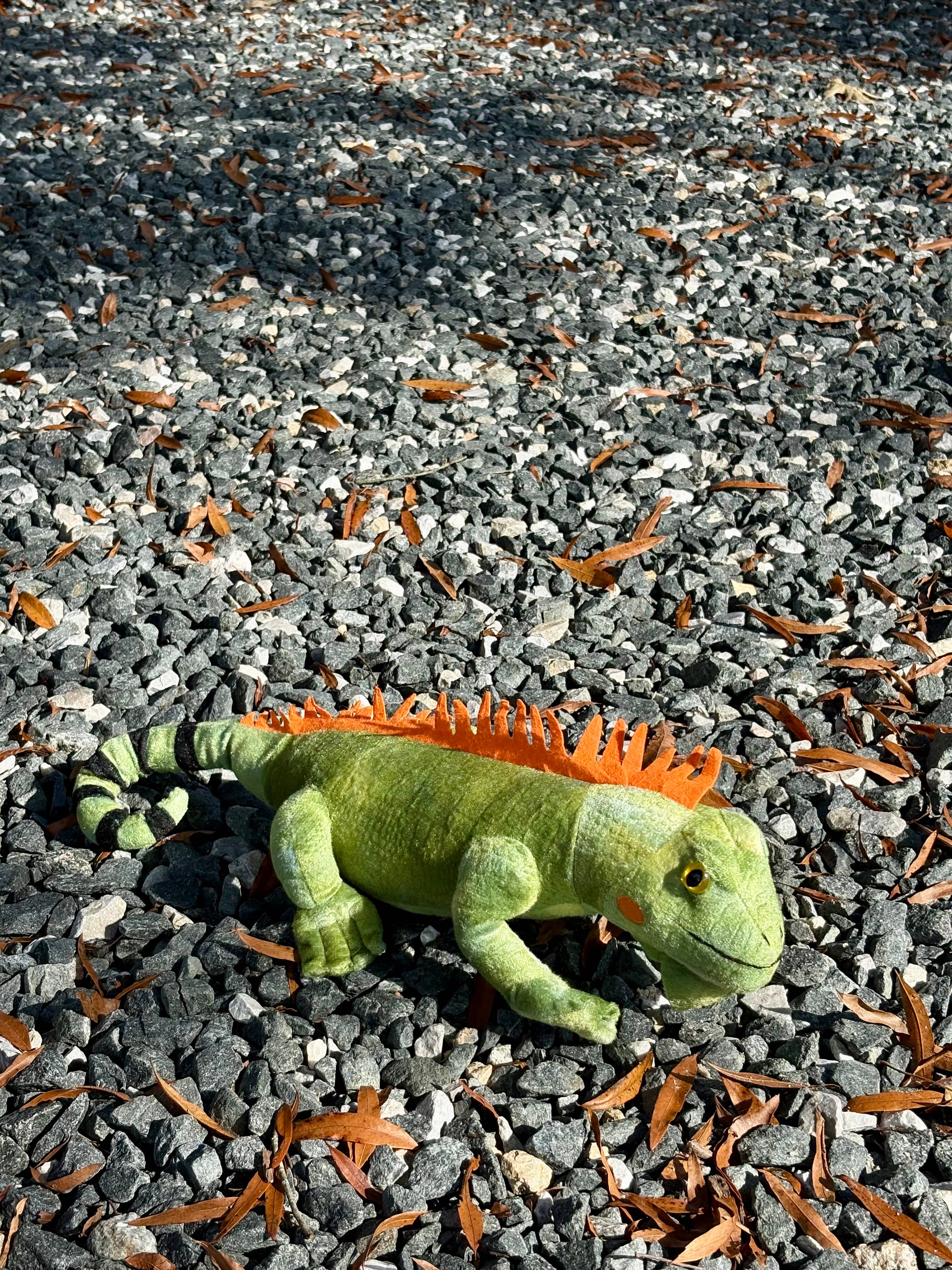 The Petting Zoo - Venta al por mayor Peluche - Niños y bebés - Iguana Reptil Wild Onez de 18" (45 cm)2
