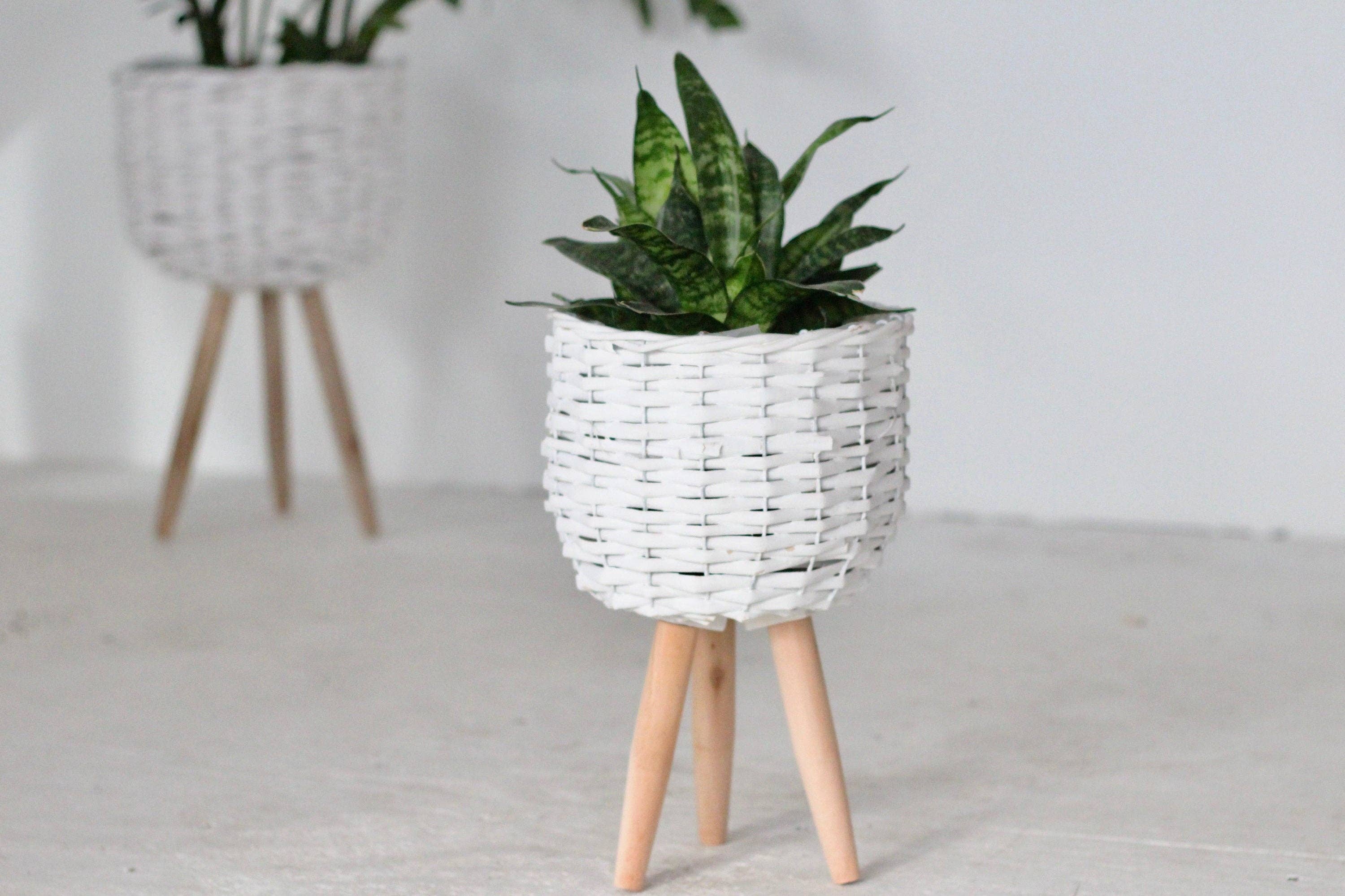 Sprout & About - Wholesale Plant Pot Stand - White Boho Woven Plant Stand2