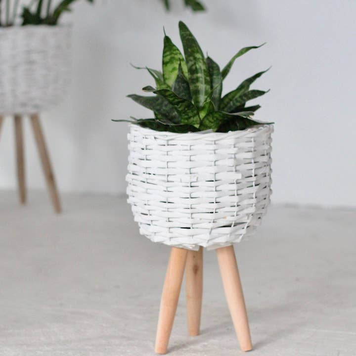 Sprout & About - Wholesale Plant Pot Stand - White Boho Woven Plant Stand2
