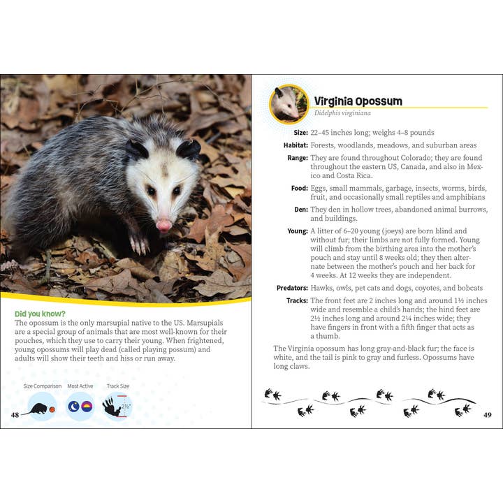 AdventureKEEN - Wholesale Book - Kids - Critters of Colorado Pocket Guide