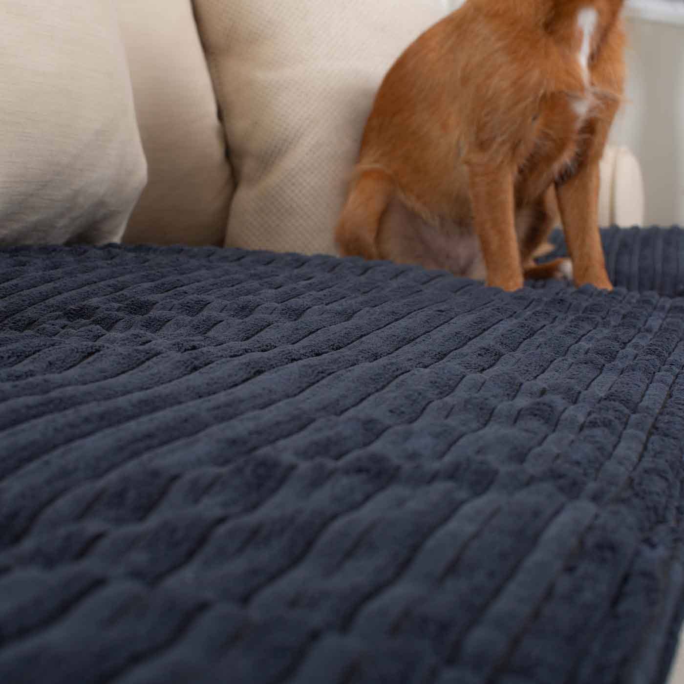 Navy pluche Sofahoes Navy Essentials Plush van Lords & Labradors voor groothandel op Faire6