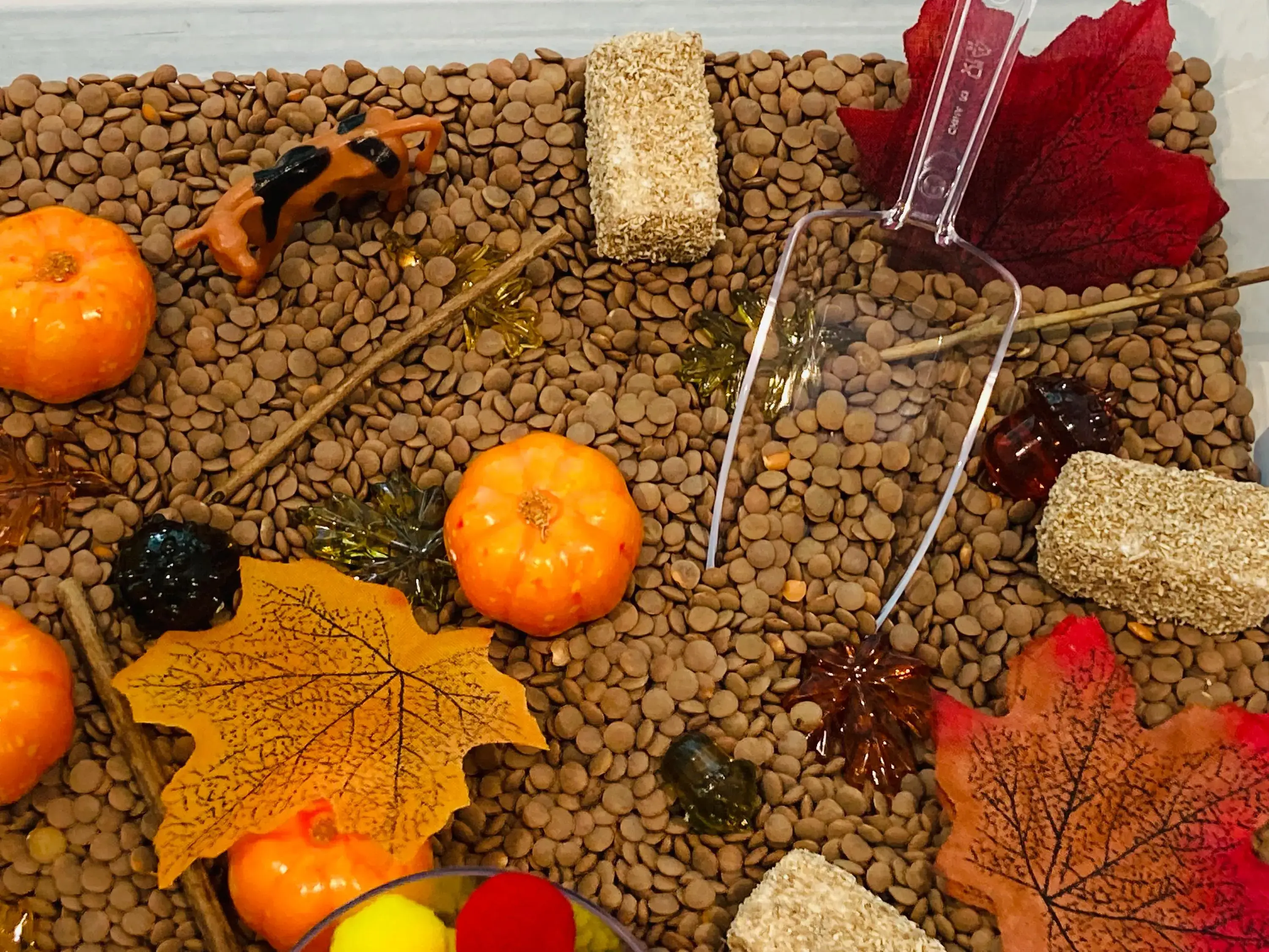 Curious Learning and Sensory – wholesale Toy set – Kids – Fall Pumpkin Patch Sensory Bin, Sensory Bins for Kids, Fall2