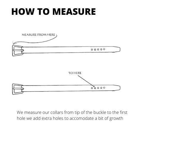 MAASAI CHIEF – wholesale Pet collar – Dog – Handmade beaded Maasai leather dog collar1