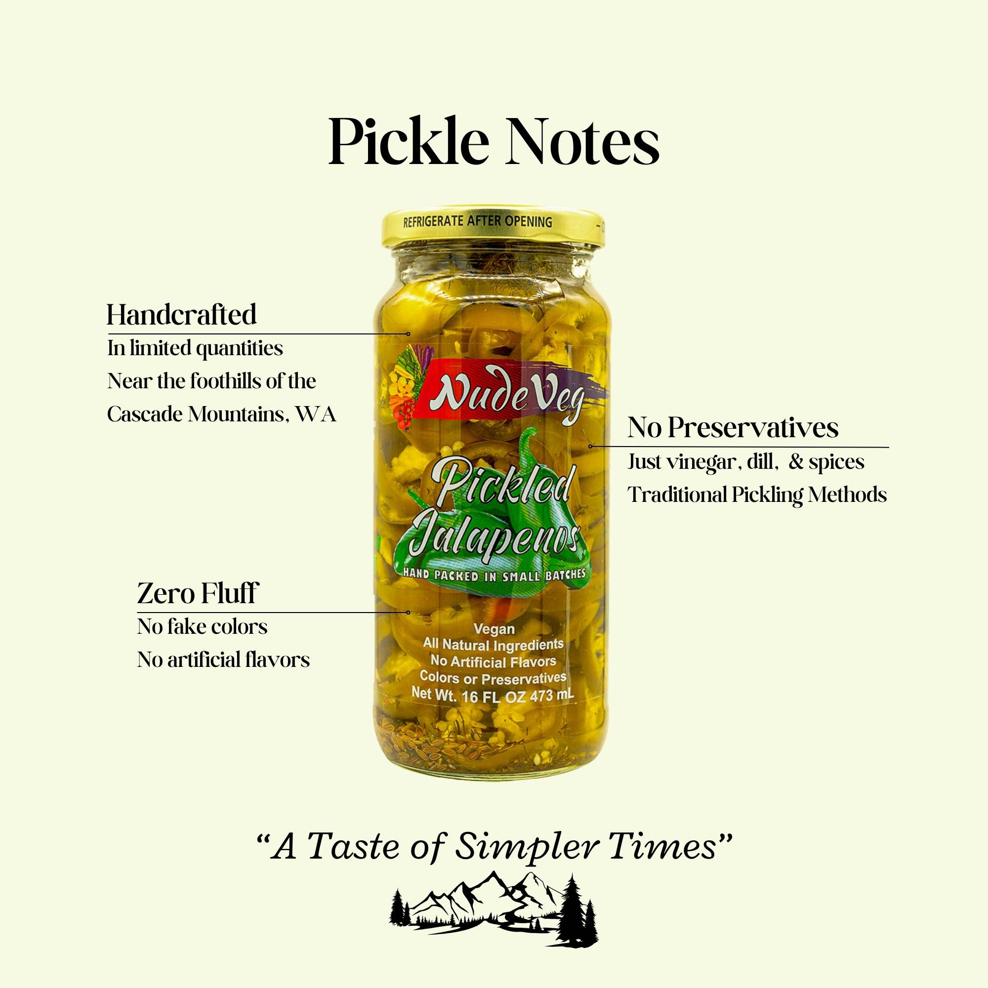 Ayurveg | NudeVeg Pickles - Wholesale Pickled Vegetables - Handcrafted Pickled Jalapenos | Spicy Dill | 16oz1