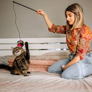 CanCor Innovations Inc. - Wholesale Pet Toy - Cat - 24 Inch Tantalizer Wand with Crinkle Ball 12/Display3