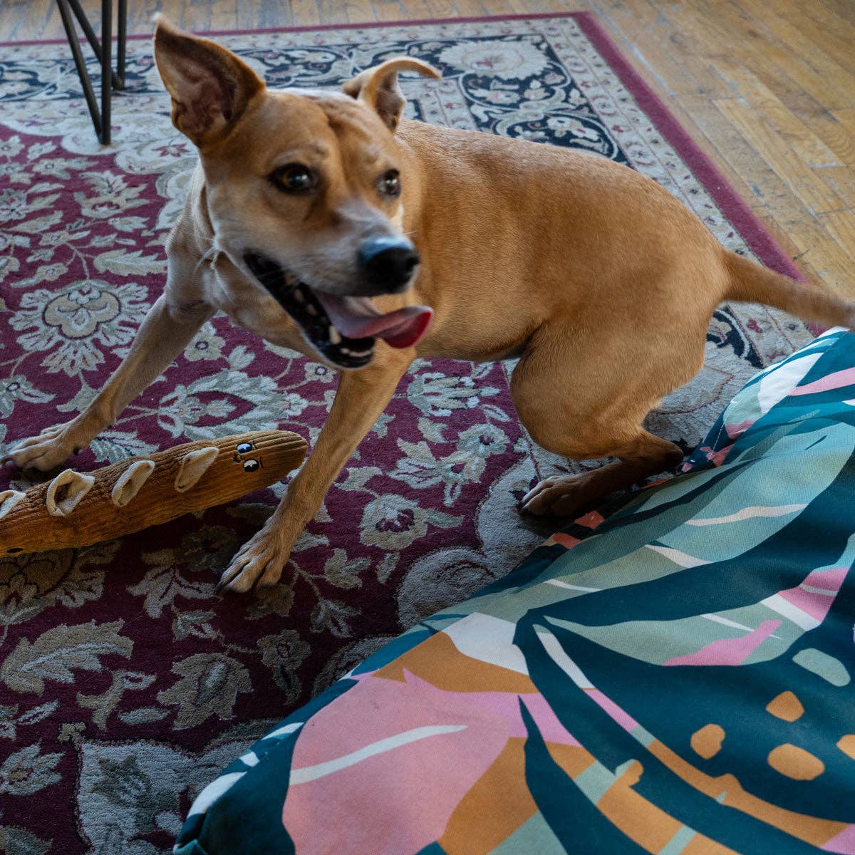 ADC Houndstone & Co. - Wholesale Pet Plush Toy - Dog - Houndstone Baguette Plush Interactive Dog Toy for Enrichment5