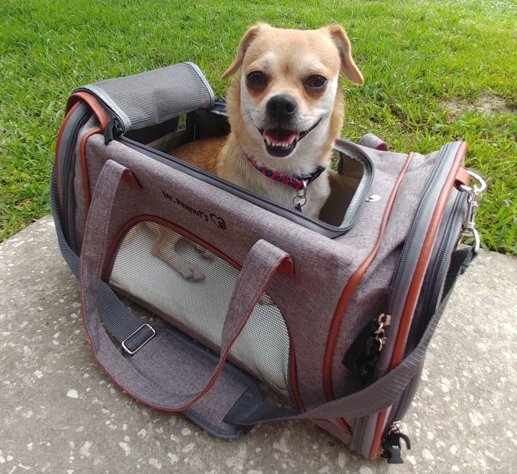 Mr. Peanut's - Wholesale Pet Carrier - Cat/Dog - Mr. Peanut's Gold Series Standard Size Airline Compliant Pet Carrier14